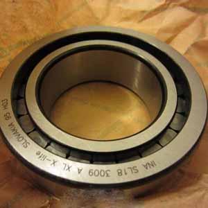 /images/companies/DHTech/common/vong-bi-dua/ina-sl183009axl-cylindrical-roller-bearings1.jpg